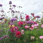 Kneipp-Bloggerevent 2019
